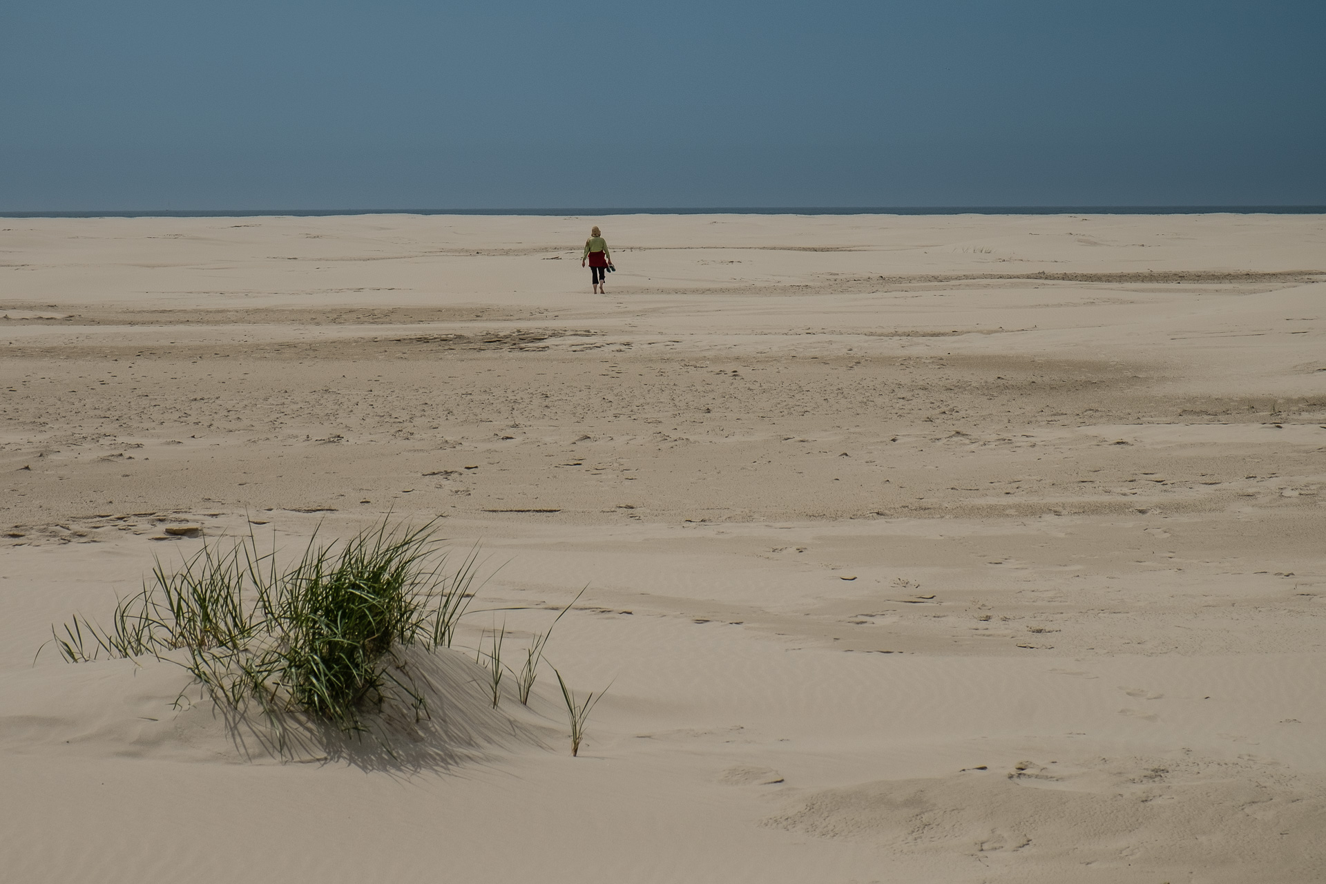 Amrum