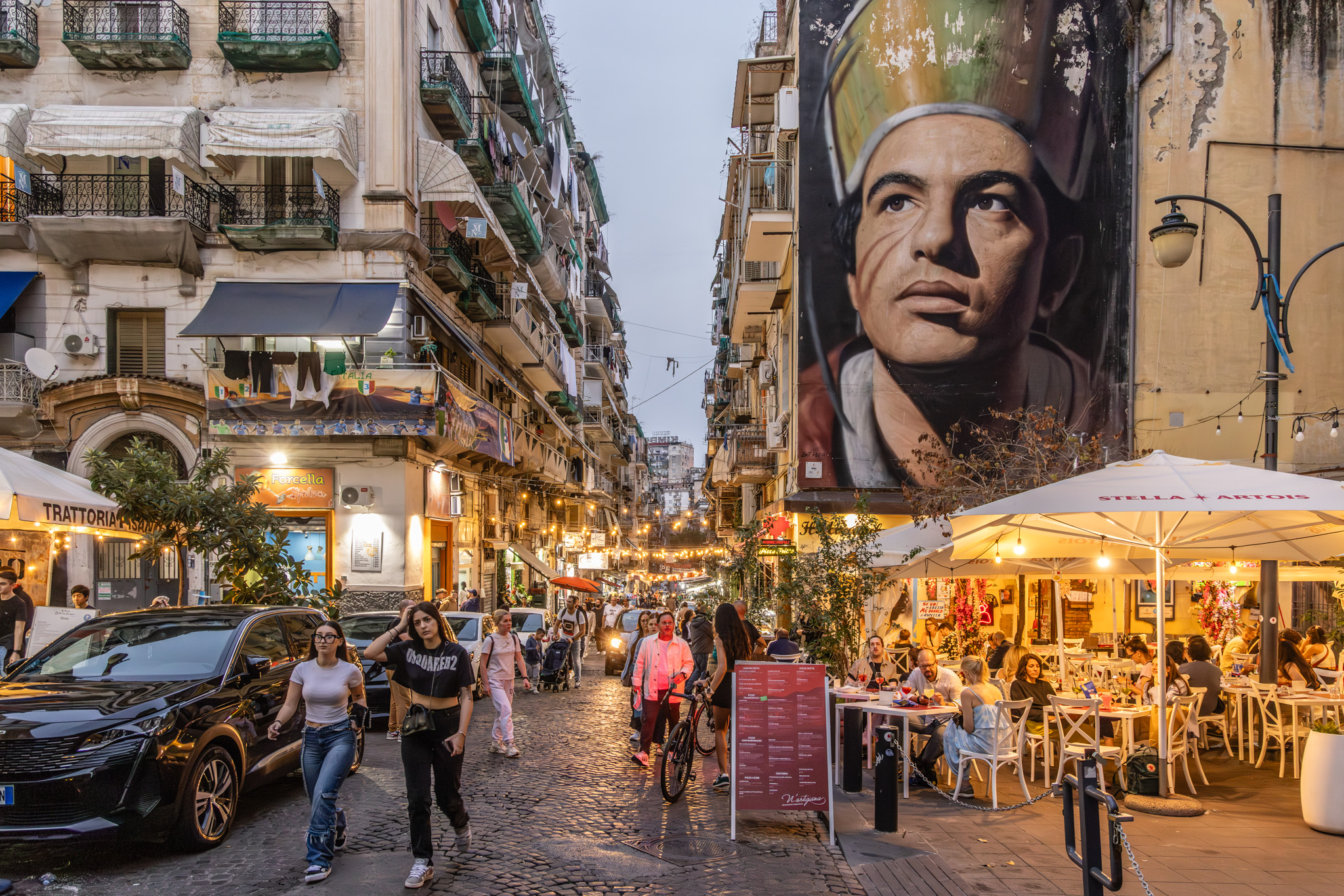  V6A7566 Verbessert RR